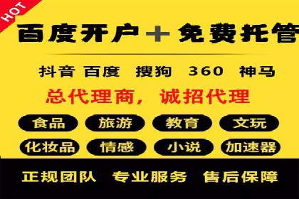 行业专家解析SEM代运营成功案例